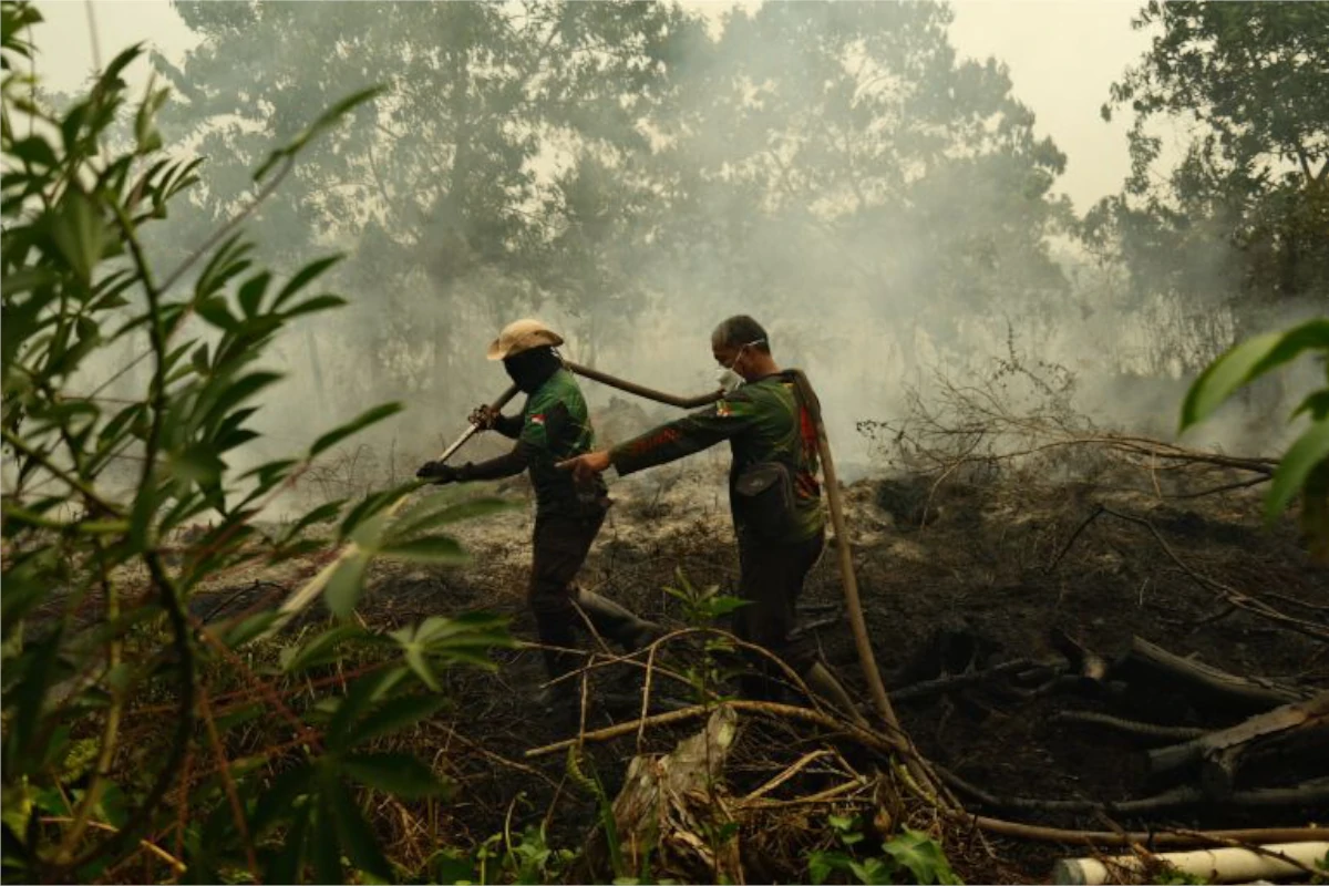 indonesia-inspeciona-empresas-por-possivel-ligacao-com-incendios-florestais-–-climainfo