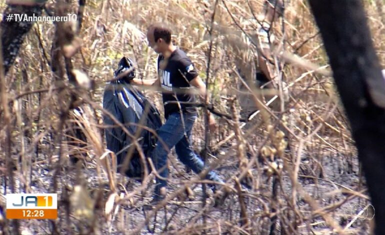 ossada-humana-e-encontrada-apos-queimada-em-area-verde-de-palmas-|-g1