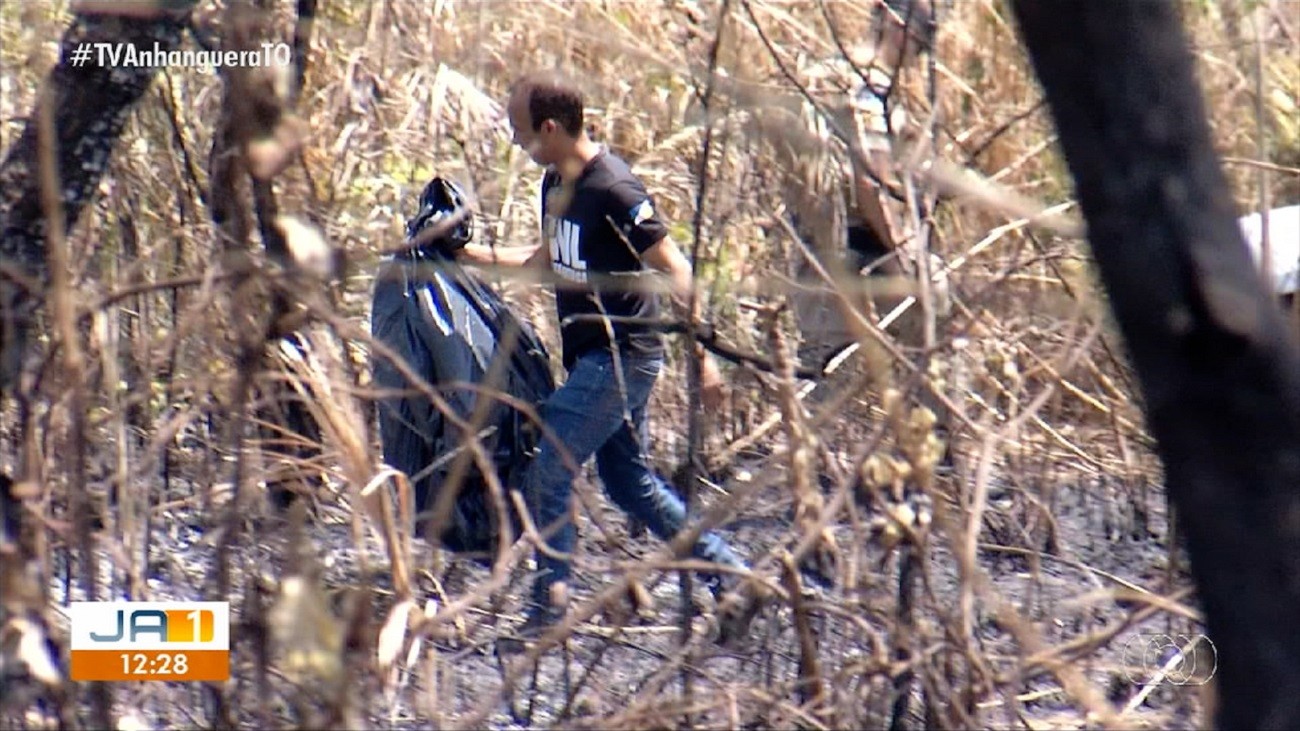 Ossada humana é encontrada após queimada em área verde de Palmas | G1
