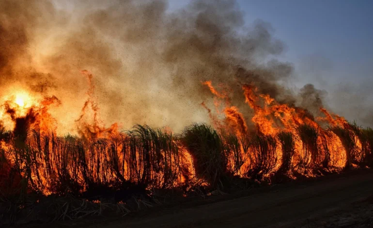 fumaca-de-incendios-florestais-indonesios-se-espalha-por-paises-vizinhos-–-climainfo