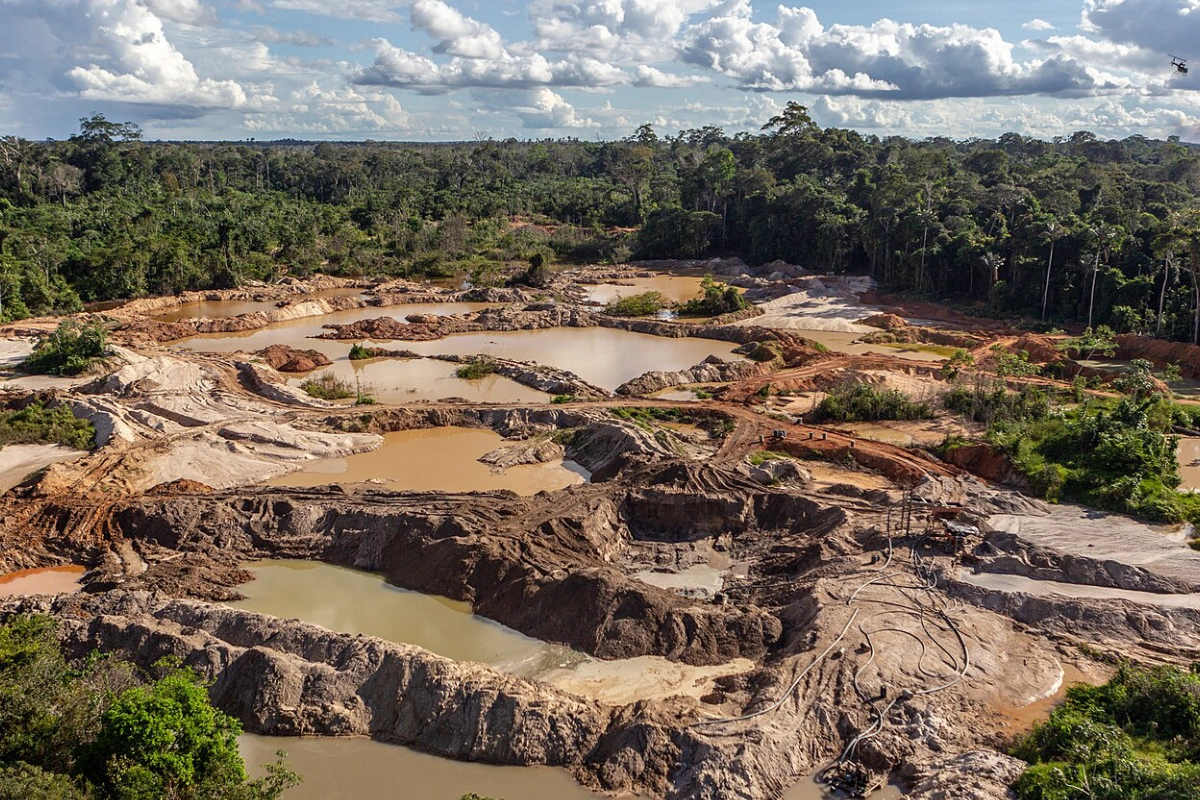 Crime organizado e desmatamento na Amazônia seguem rastro do garimpo ilegal – ClimaInfo