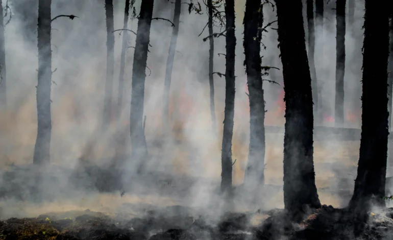 emissoes-de-incendios-florestais-na-indonesia-atingem-nivel-mais-alto-do-mundo-–-climainfo