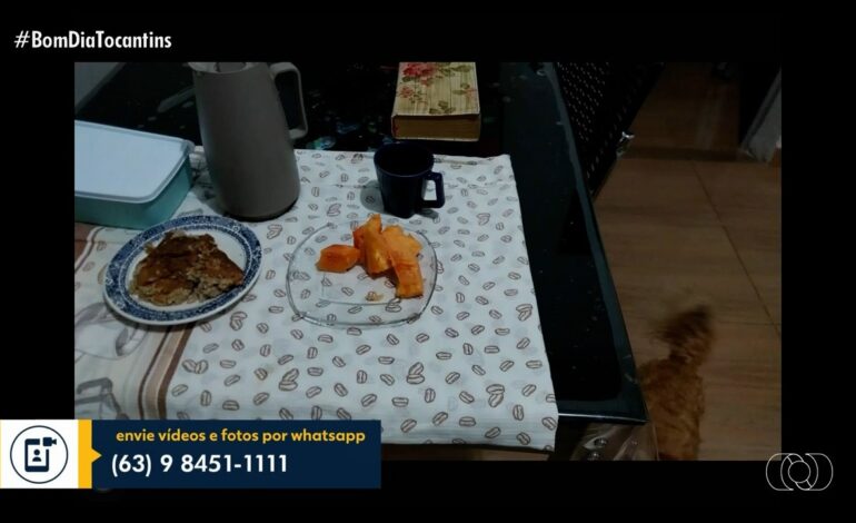 videos:-bom-dia-tocantins,-de-10-de-setembro-de-2026