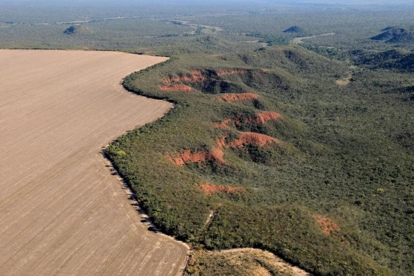 Alertas de desmatamento em agosto caem no Cerrado, mas sobem na Amazônia – ClimaInfo