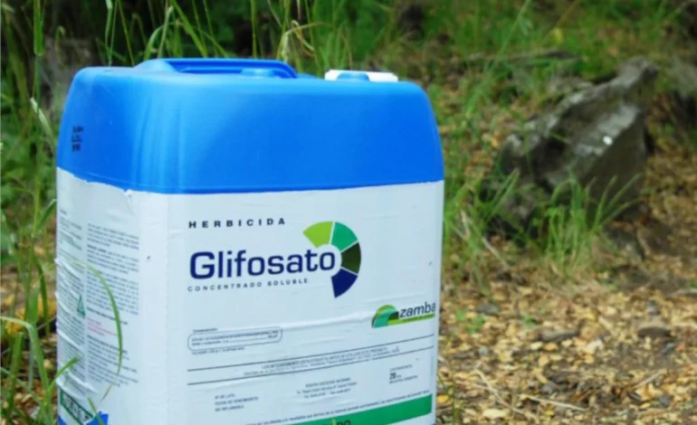 justica-suspende-registro-de-novos-agrotoxicos-a-base-de-glifosato-por-90-dias-–-climainfo