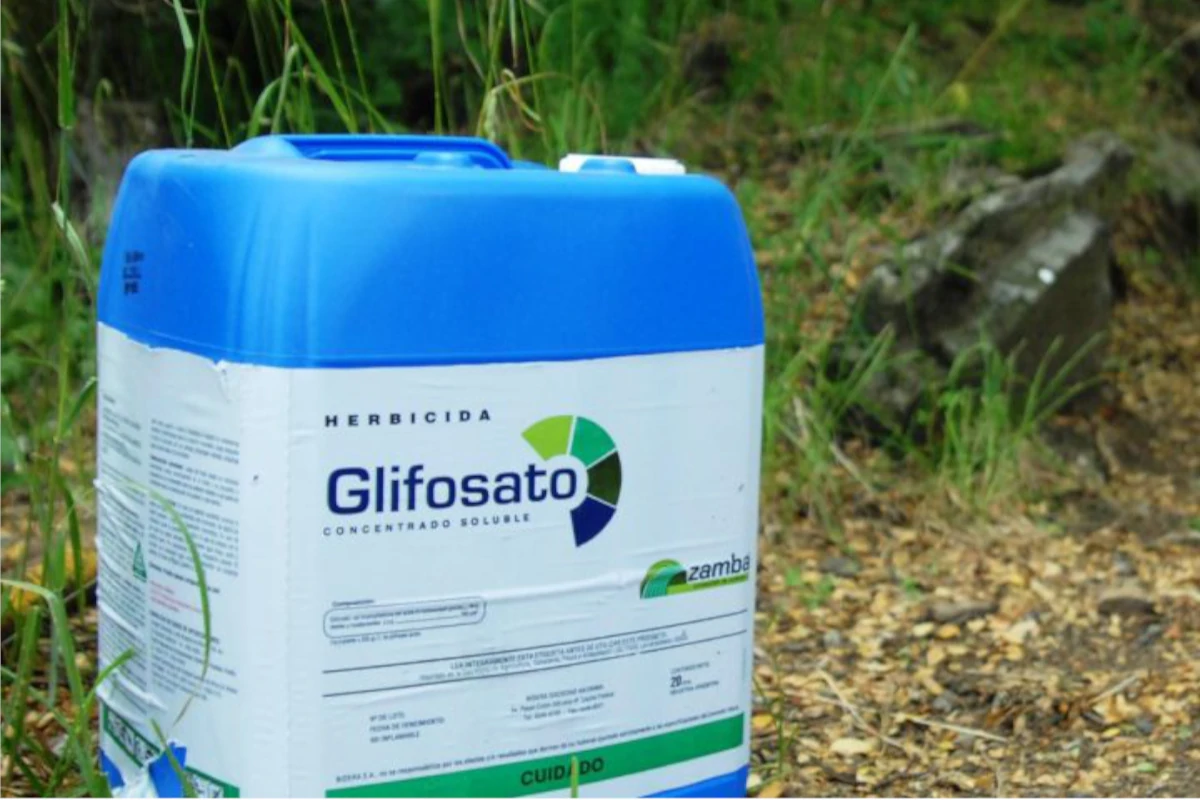 Justiça suspende registro de novos agrotóxicos à base de glifosato por 90 dias – ClimaInfo