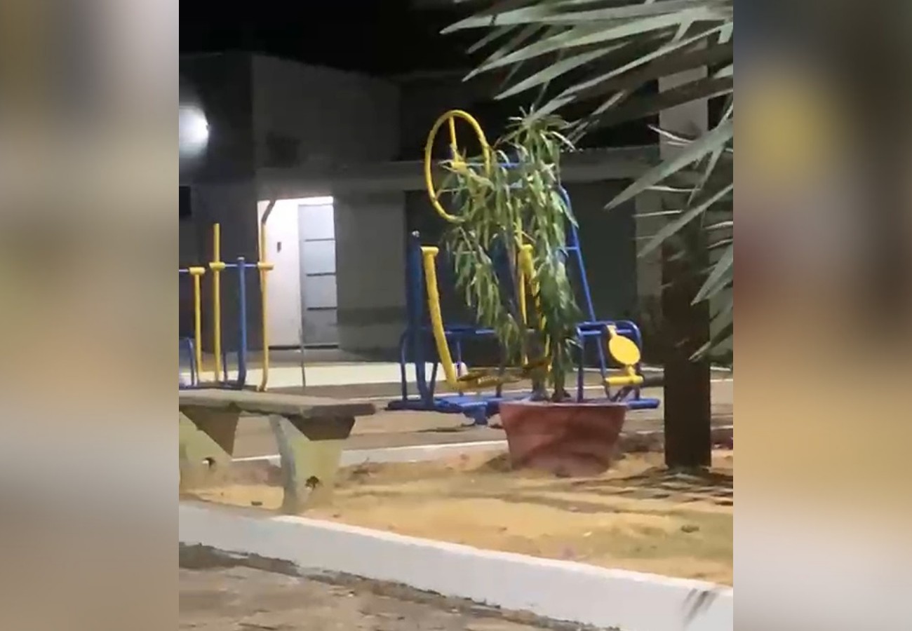 equipamento-de-academia-se-move-sozinho-em-praca-do-to;-video-|-g1