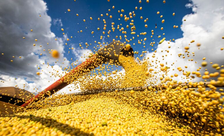 Produção agrícola brasileira superou R$ 927 bilhões em 2025