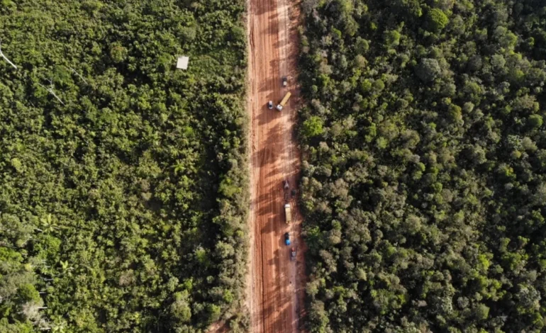 BR-319 facilita avanço do desmatamento na Amazônia – ClimaInfo