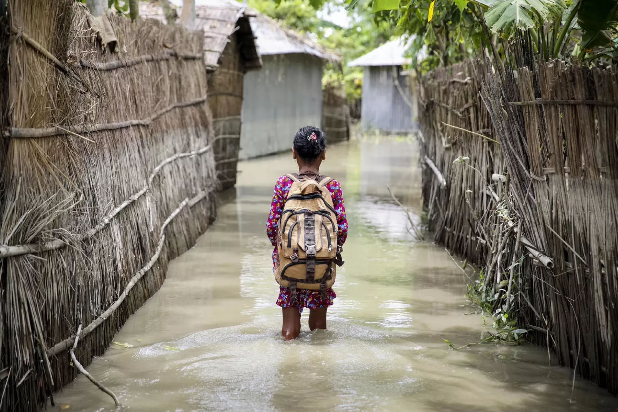 el-nino-e-grande-ameaca-a-saude-e-pode-ampliar-doencas,-alertam-oms-e-opas-–-climainfo