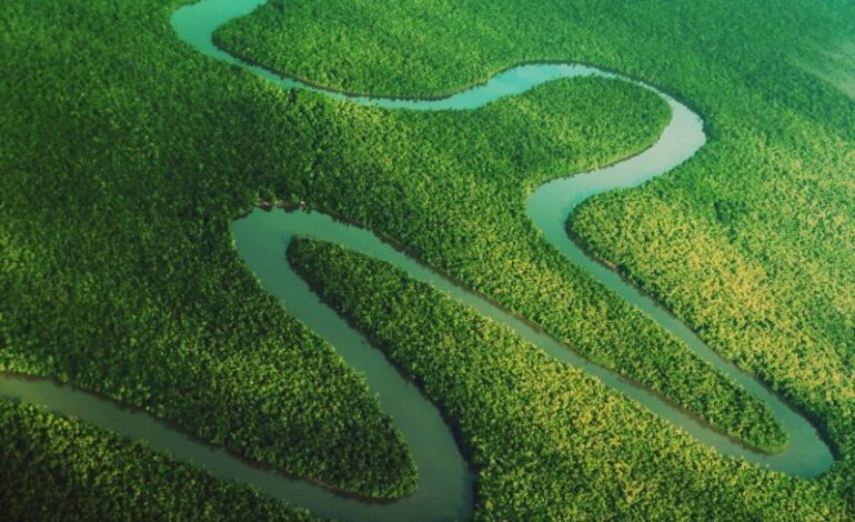 acoes-do-governo-lula-salvaram-pelo-menos-20-mil-km²-da-amazonia-desde-2023-–-climainfo