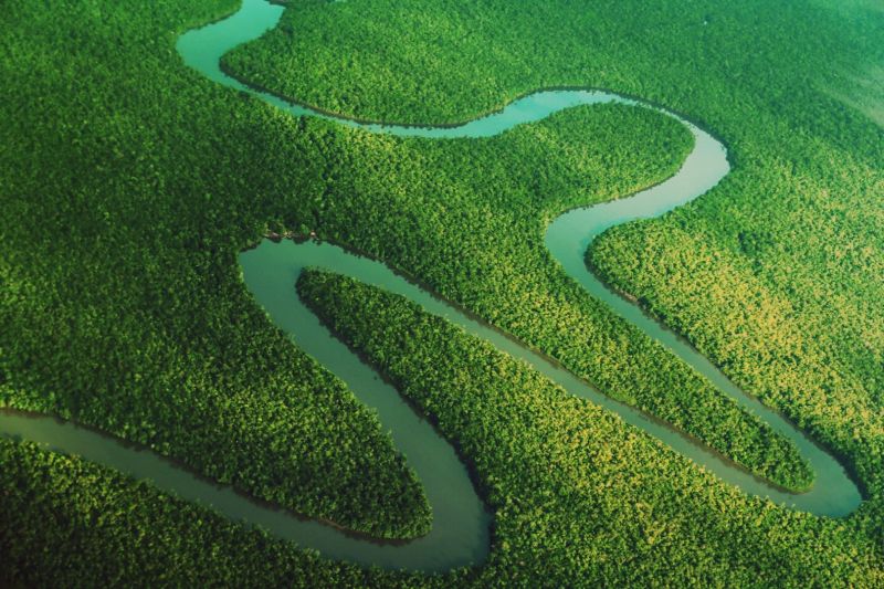 Ações do governo Lula salvaram pelo menos 20 mil km² da Amazônia desde 2023 – ClimaInfo