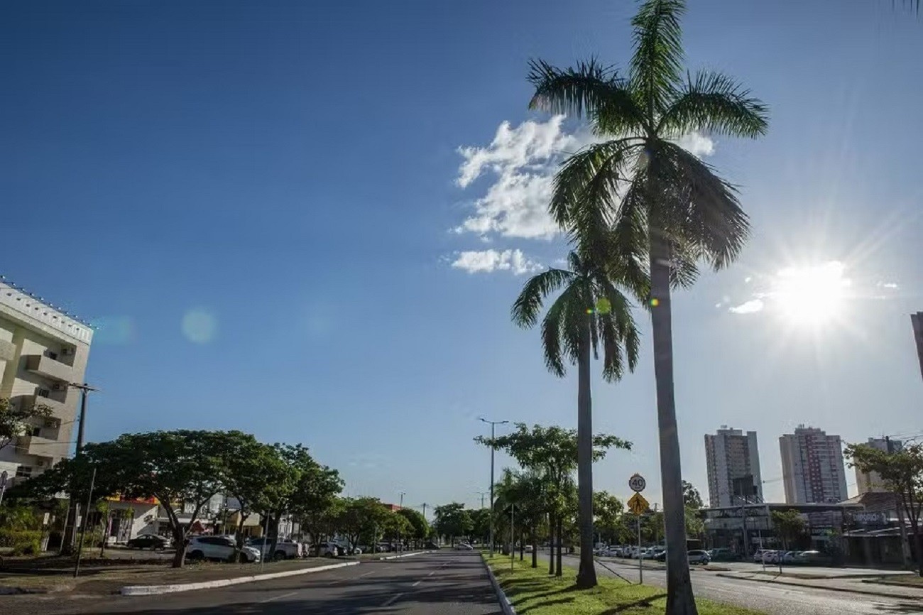 previsao-do-tempo-tocantins:-palmas-pode-chegar-a-40°c-e-ter-chuva-|-g1