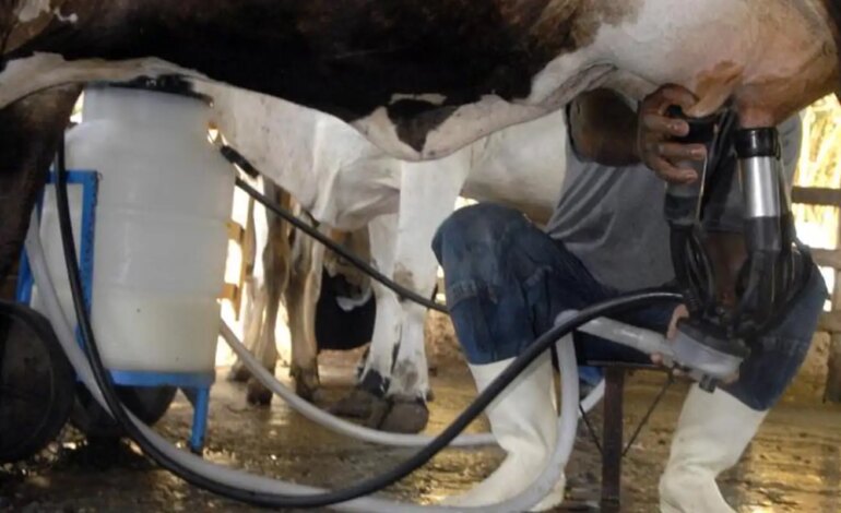 producao-de-leite-bate-recorde-mesmo-com-reducao-de-vacas-ordenhadas