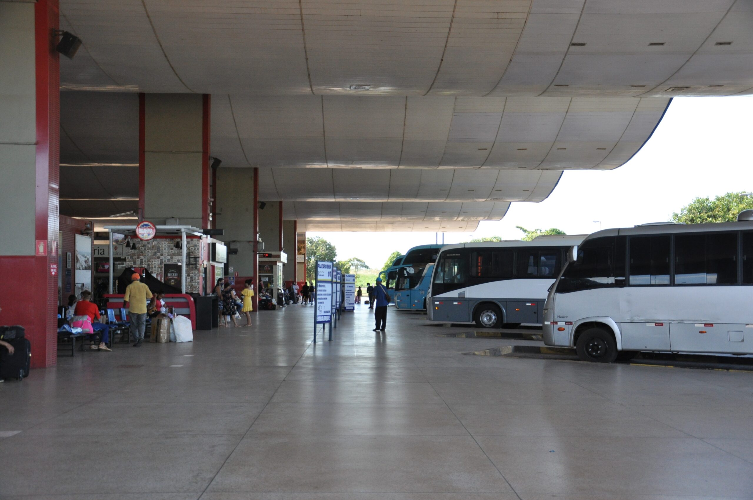 eleitores-terao-onibus-intermunicipais-gratuitos-no-tocantins-durante-|-g1