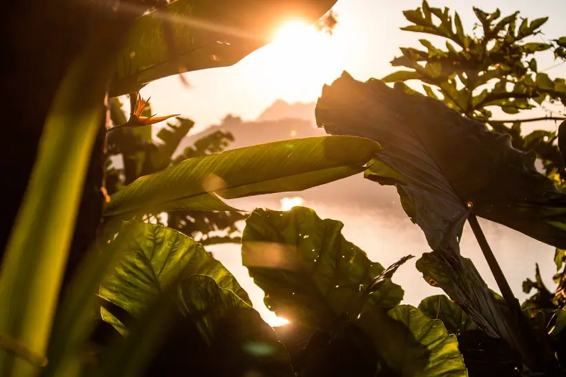 eleicoes-2026:-especialistas-fazem-alerta-sobre-o-clima-e-o-meio-ambiente-–-climainfo