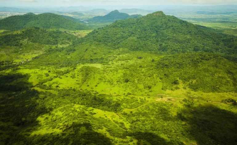 seca-e-calor-do-ultimo-el-nino-antecipam-“novo-normal”-para-florestas-tropicais-–-climainfo