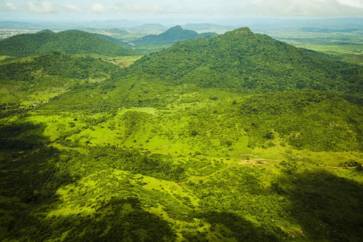 seca-e-calor-do-ultimo-el-nino-antecipam-“novo-normal”-para-florestas-tropicais-–-climainfo