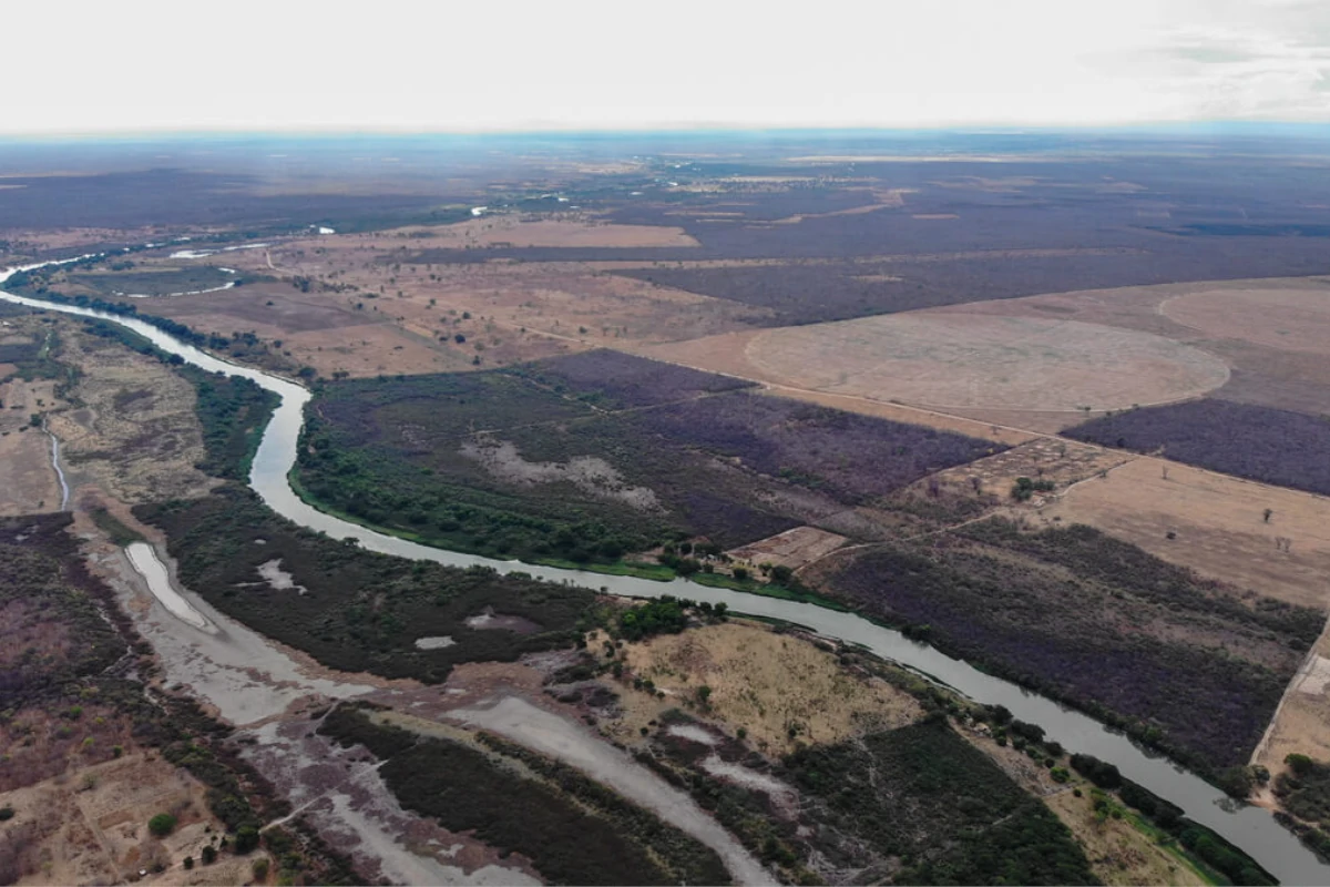 Cerrado perdeu quase 14 milhões de hectares de vegetação nativa perto de rios – ClimaInfo