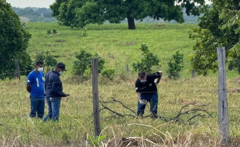 corpo-em-decomposicao-e-encontrado-as-margens-da-to-336-|-g1