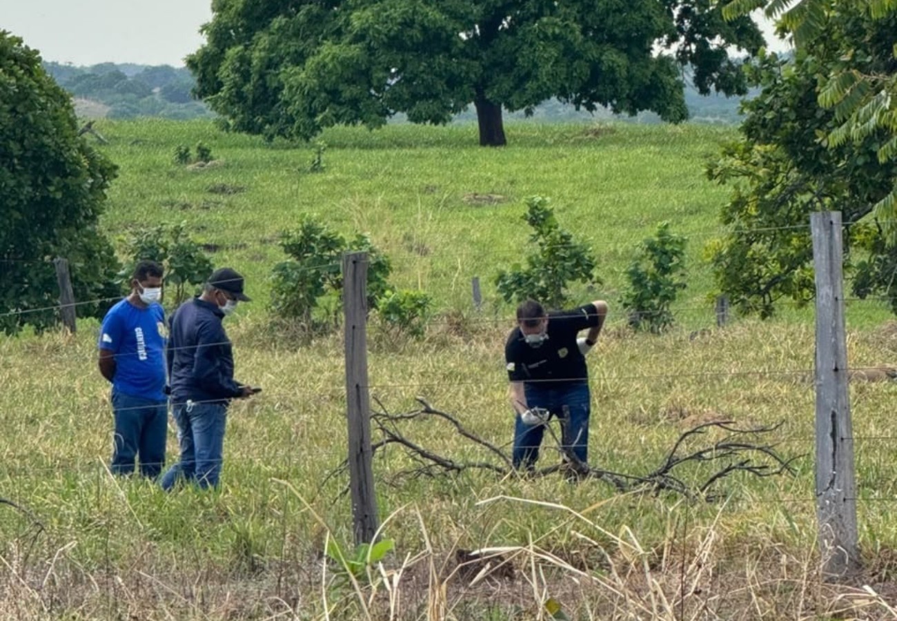 Corpo em decomposição é encontrado às margens da TO-336 | G1