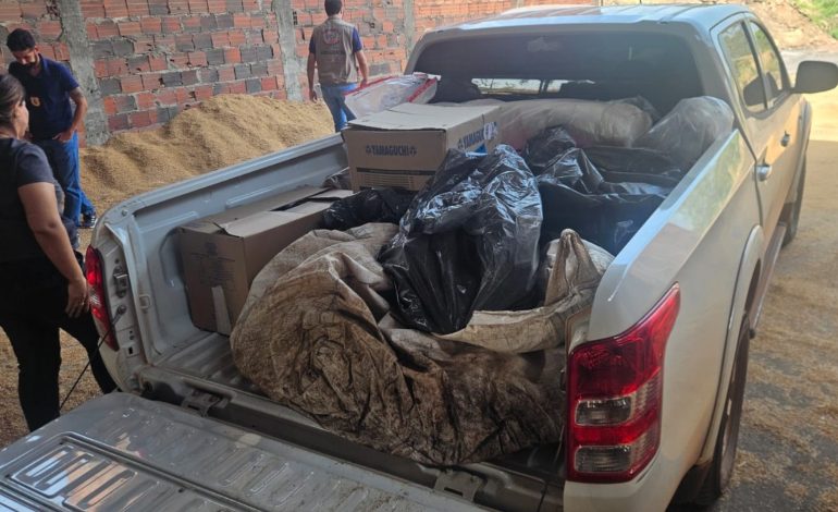 Mais de 100 kg de drogas são incinerados no TO após operação | G1