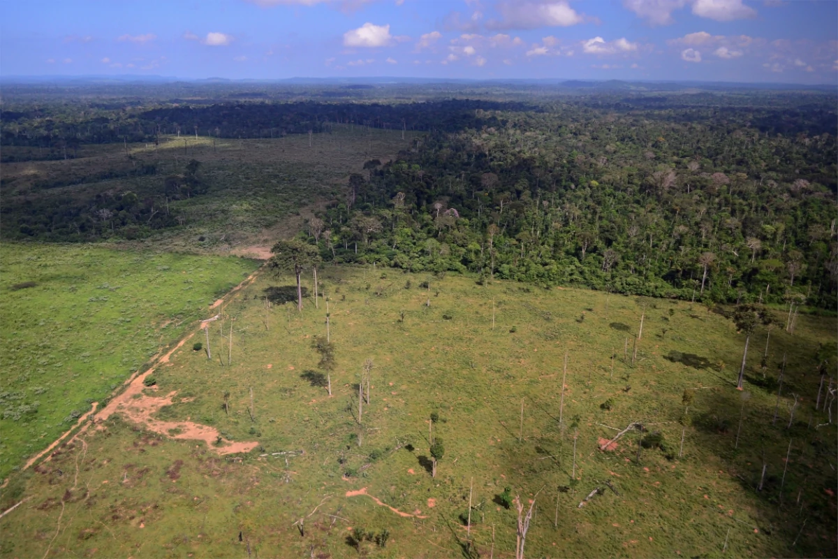 amazonia-registra-o-menor-desmatamento-em-41-anos,-mostra-o-mapbiomas-–-climainfo