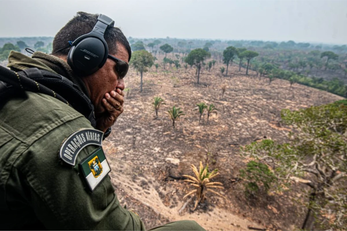 incendios-florestais-no-am-dobram,-mas-indice-esta-abaixo-da-media-historica-–-climainfo