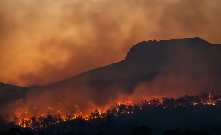 sem-sinal-de-arrefecimento,-incendios-florestais-na-indonesia-destroem-quase-300-casas-–-climainfo