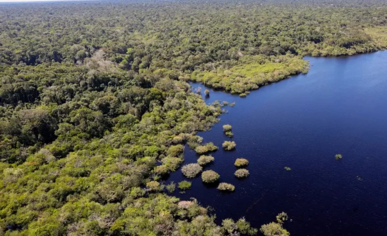 desmatamento-global-desacelera-em-2025-puxado-por-queda-na-america-latina-–-climainfo