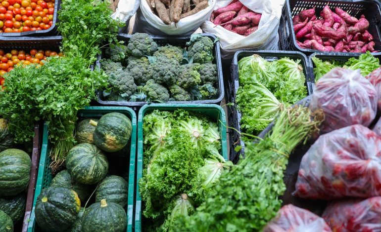 seguranca-alimentar-exige-esforco-coletivo-e-articulacao