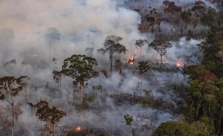 seca-associada-ao-el-nino-deixa-amazonia-mais-propensa-a-incendios,-diz-nasa-–-climainfo