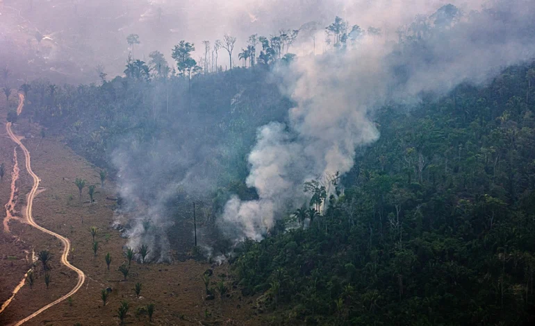 incendios-florestais-no-amazonas-sao-criminosos-e-dispararam-apos-1o-turno-–-climainfo