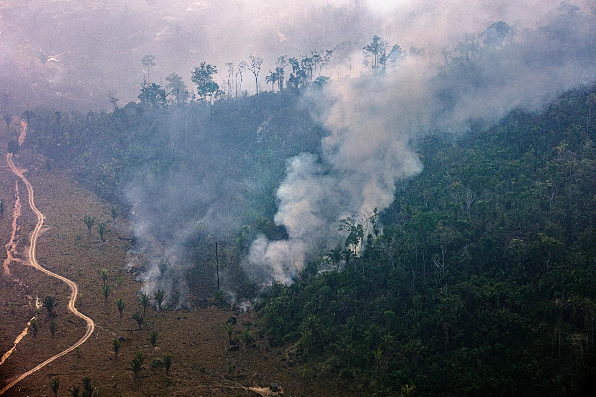 incendios-florestais-no-amazonas-sao-criminosos-e-dispararam-apos-1o-turno-–-climainfo