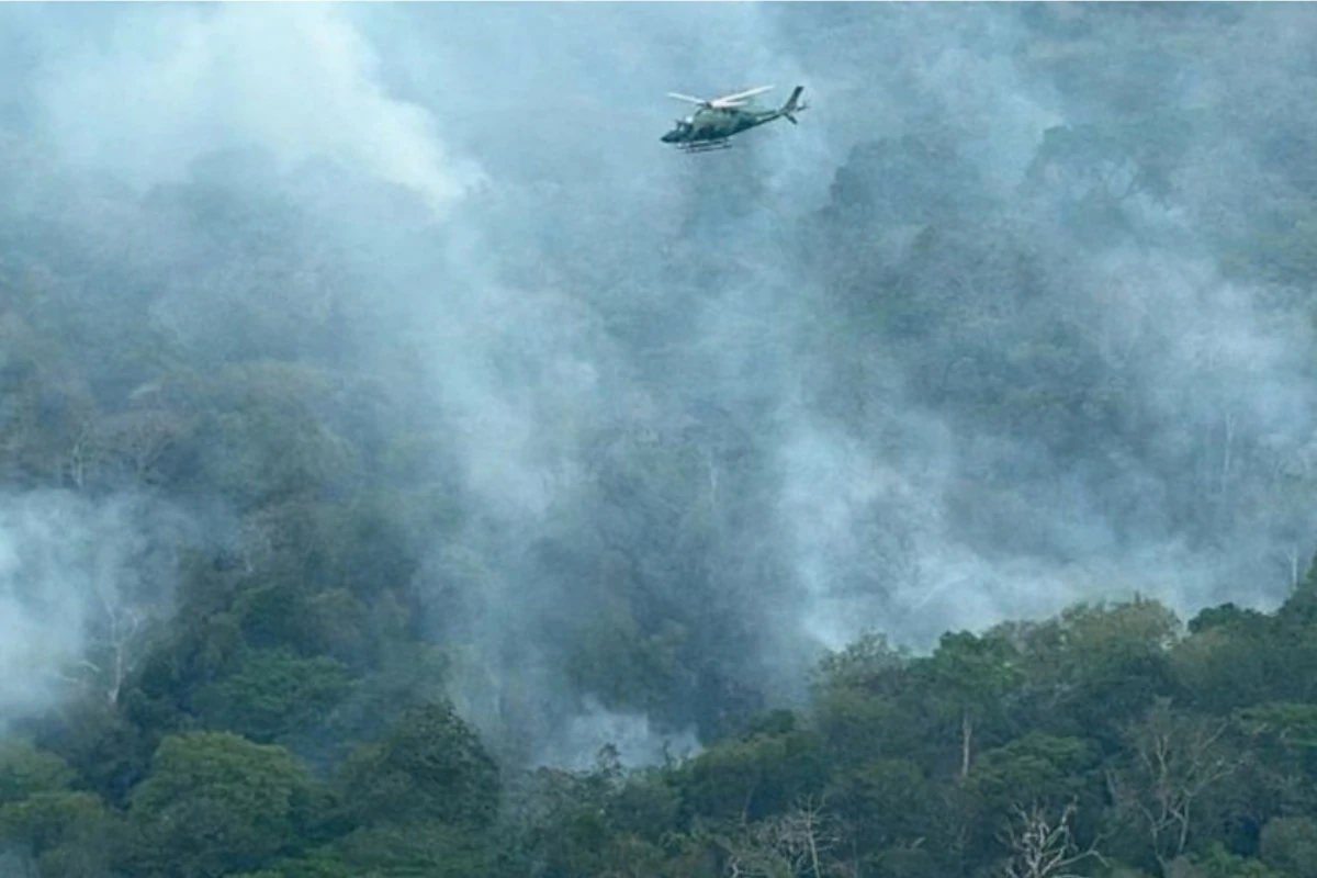 incendios-caem-no-am-com-acoes-do-governo-federal,-e-ar-melhora-em-manaus-–-climainfo