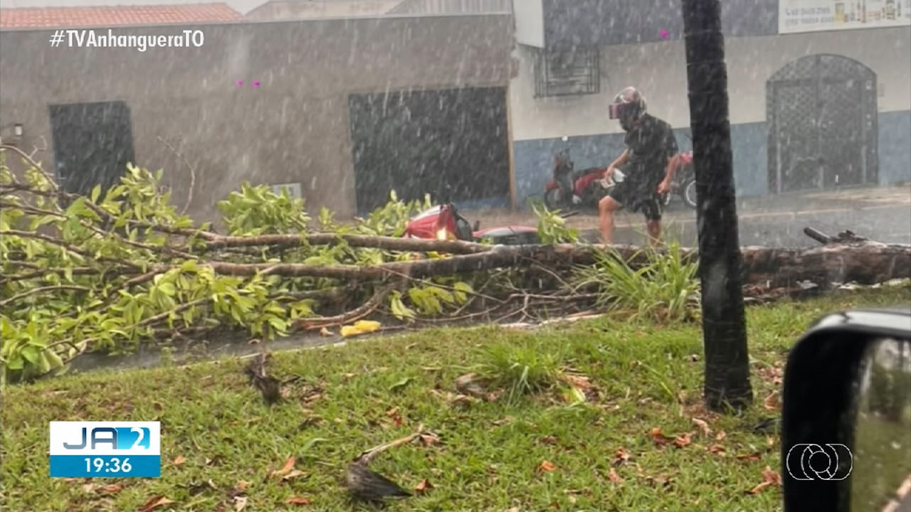 chuva-com-ventos-fortes-derruba-arvores-e-provoca-estragos-no-to-|-g1