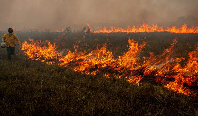 Incêndios têm queda de quase 80% no Amazonas durante o mês de outubro – ClimaInfo