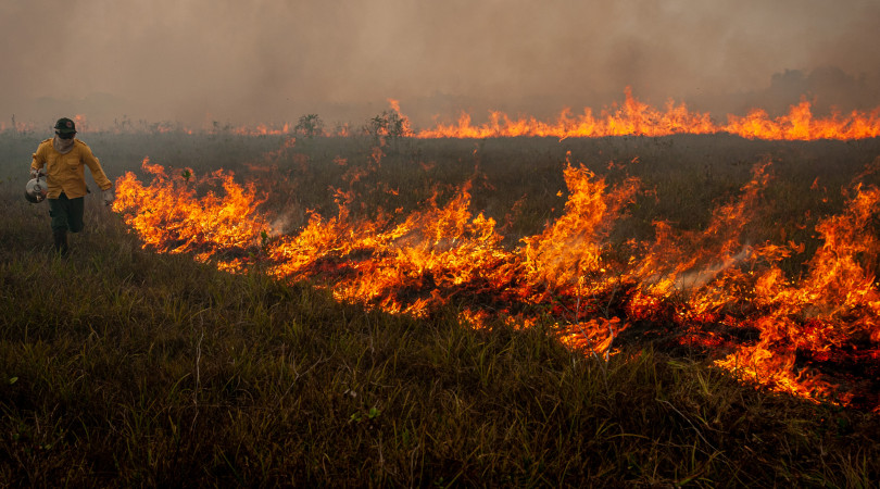 incendios-tem-queda-de-quase-80%-no-amazonas-durante-o-mes-de-outubro-–-climainfo
