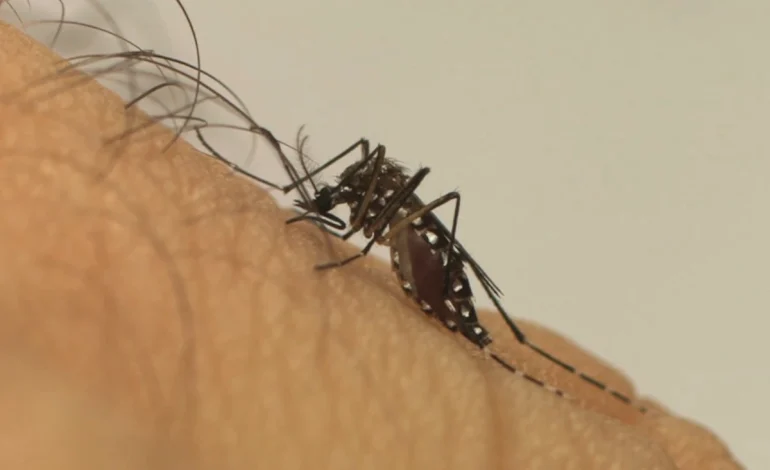 fiocruz:-mudancas-climaticas-ja-causam-aumento-de-doencas-infecciosas-no-brasil-–-climainfo