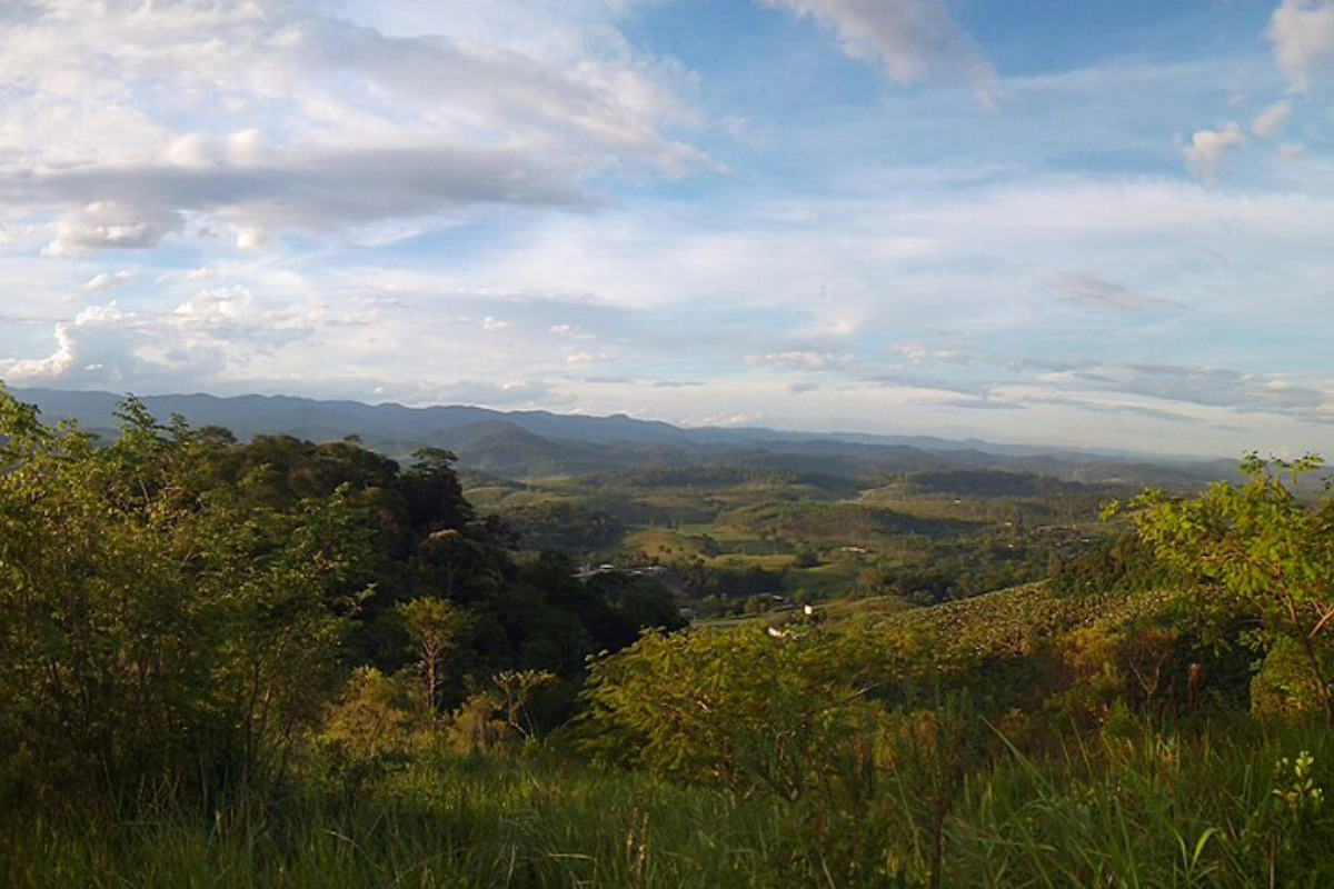areas-de-vegetacao-nativa-no-brasil-ficaram-menores-e-mais-isoladas-–-climainfo